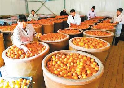 农村致富的黄金之路,打造特色食品企业