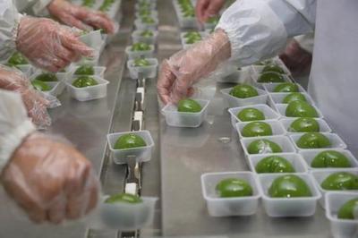 复工食品企业忙碌加工青团